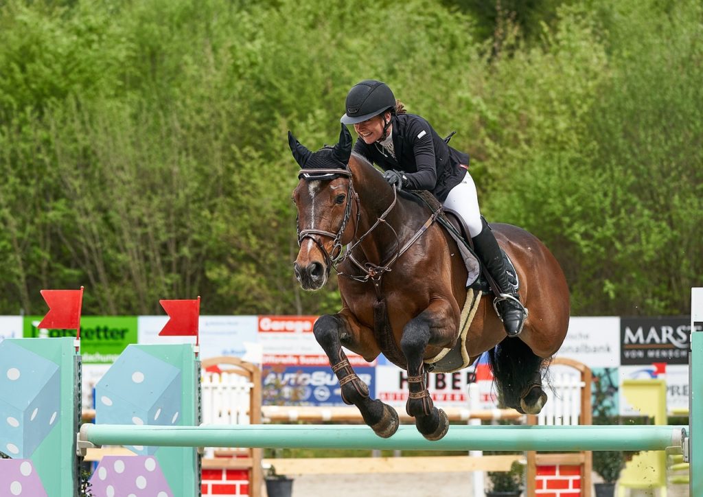 horse jumping, competition, obstacle